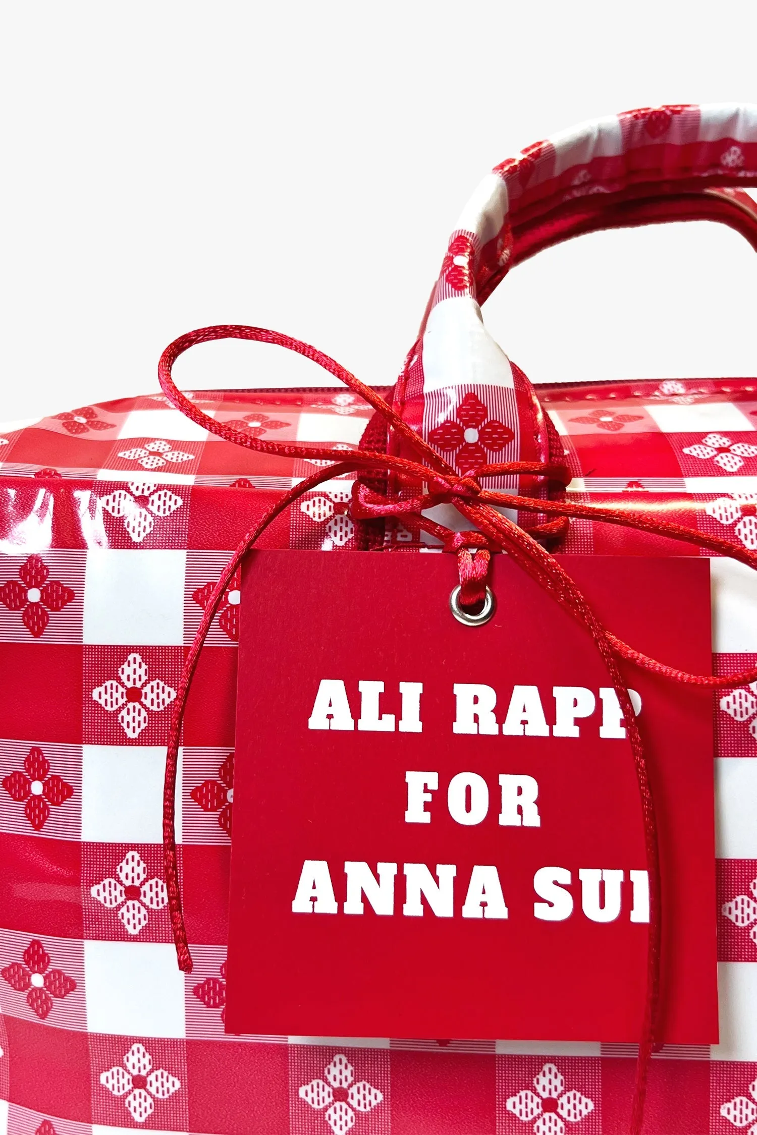 Ali Rapp for Anna Sui Medium Summer Picnic Bag Annasui
