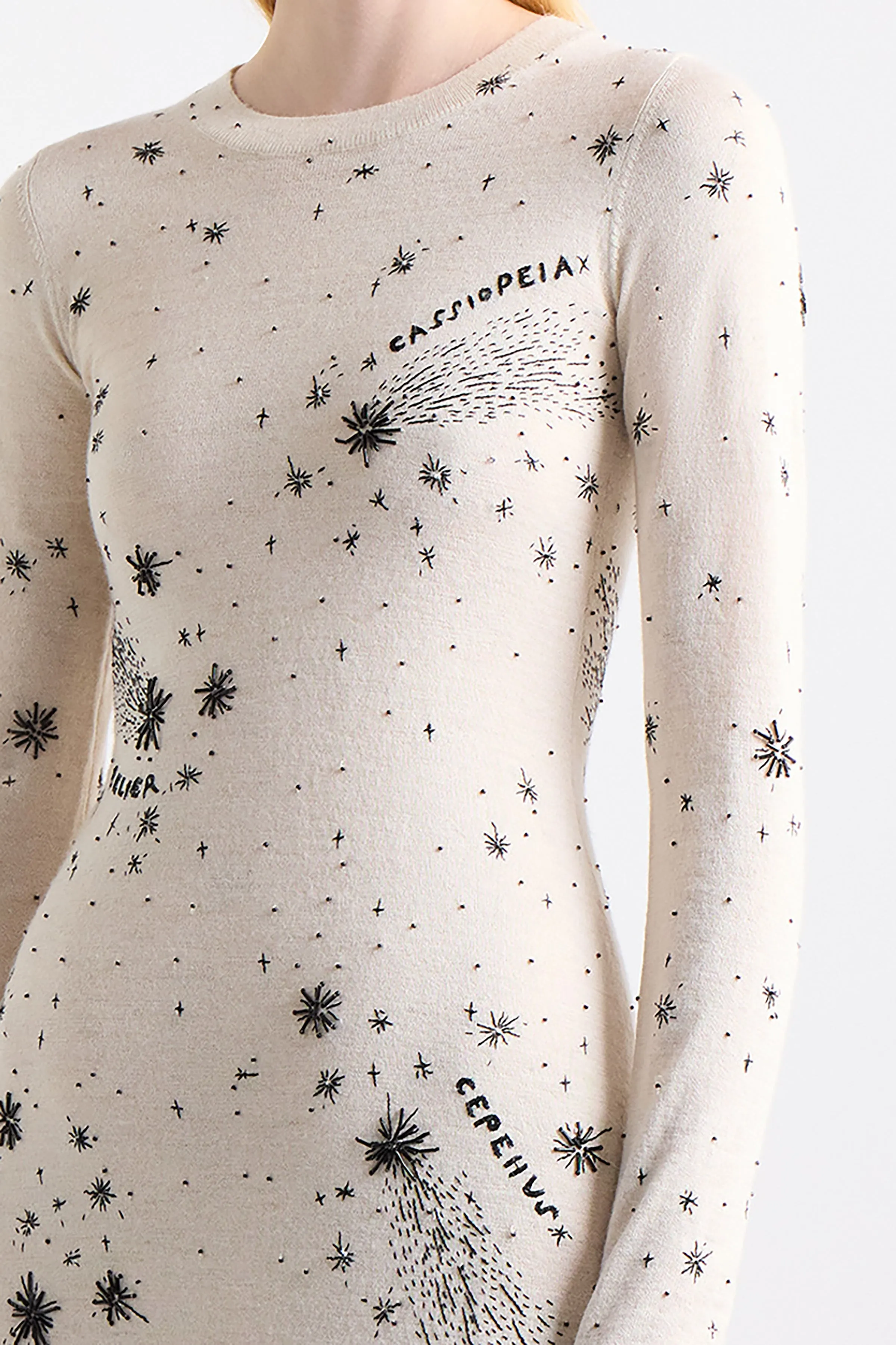 Ellima Dress Altuzarra