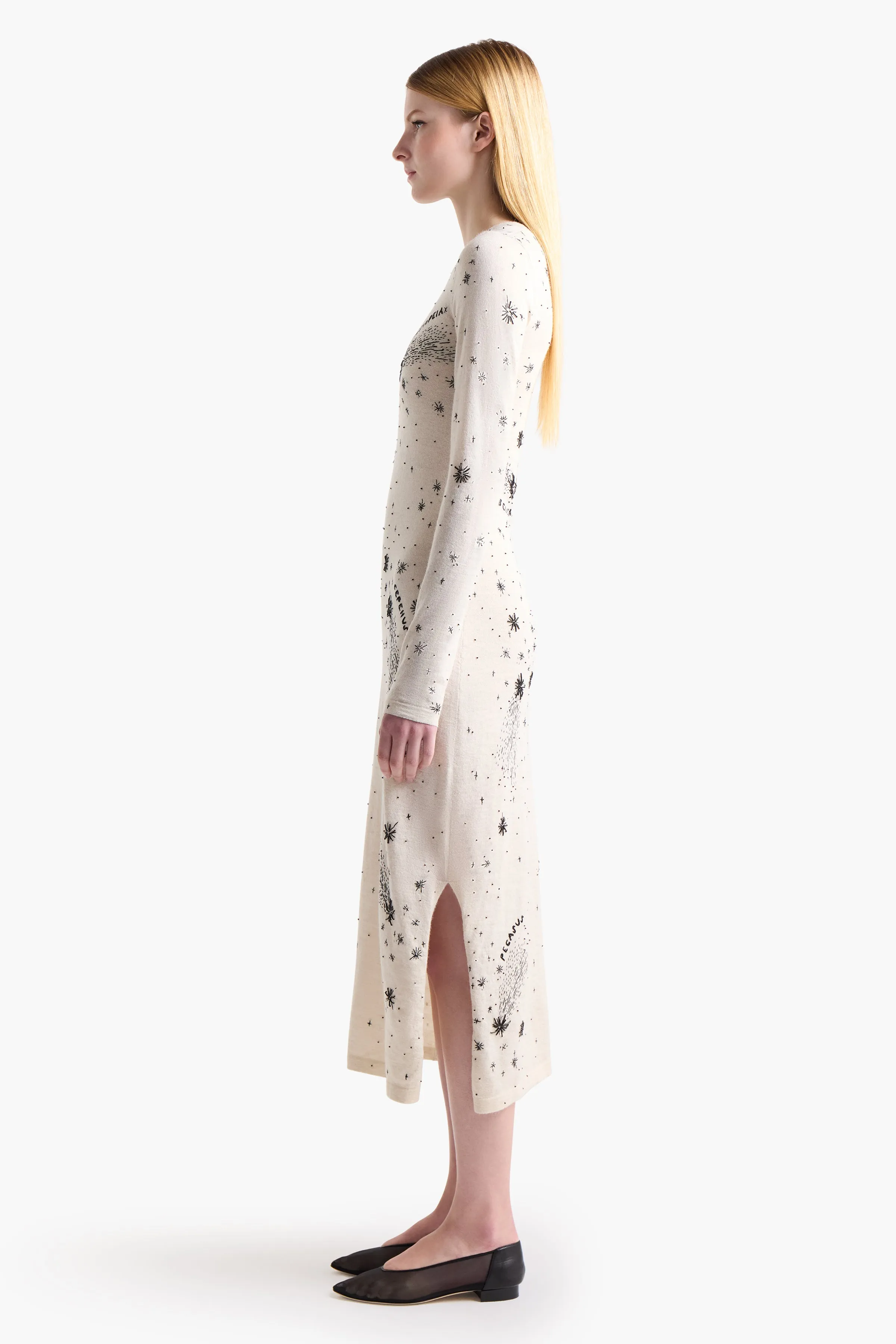 Ellima Dress Altuzarra