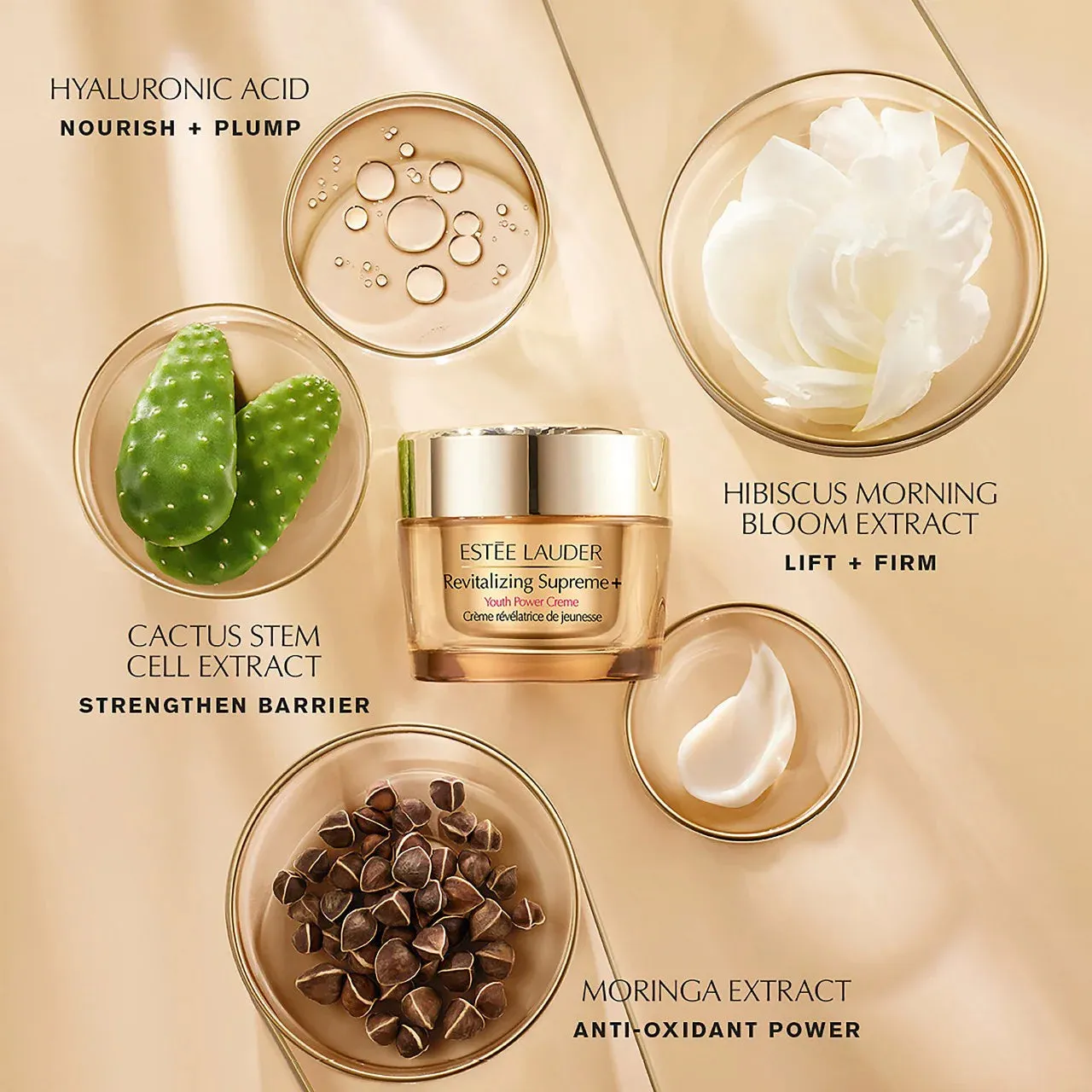 ESTE LAUDER Revitalizing Supreme  Youth Power Crme Moisturizer 50ml NIB