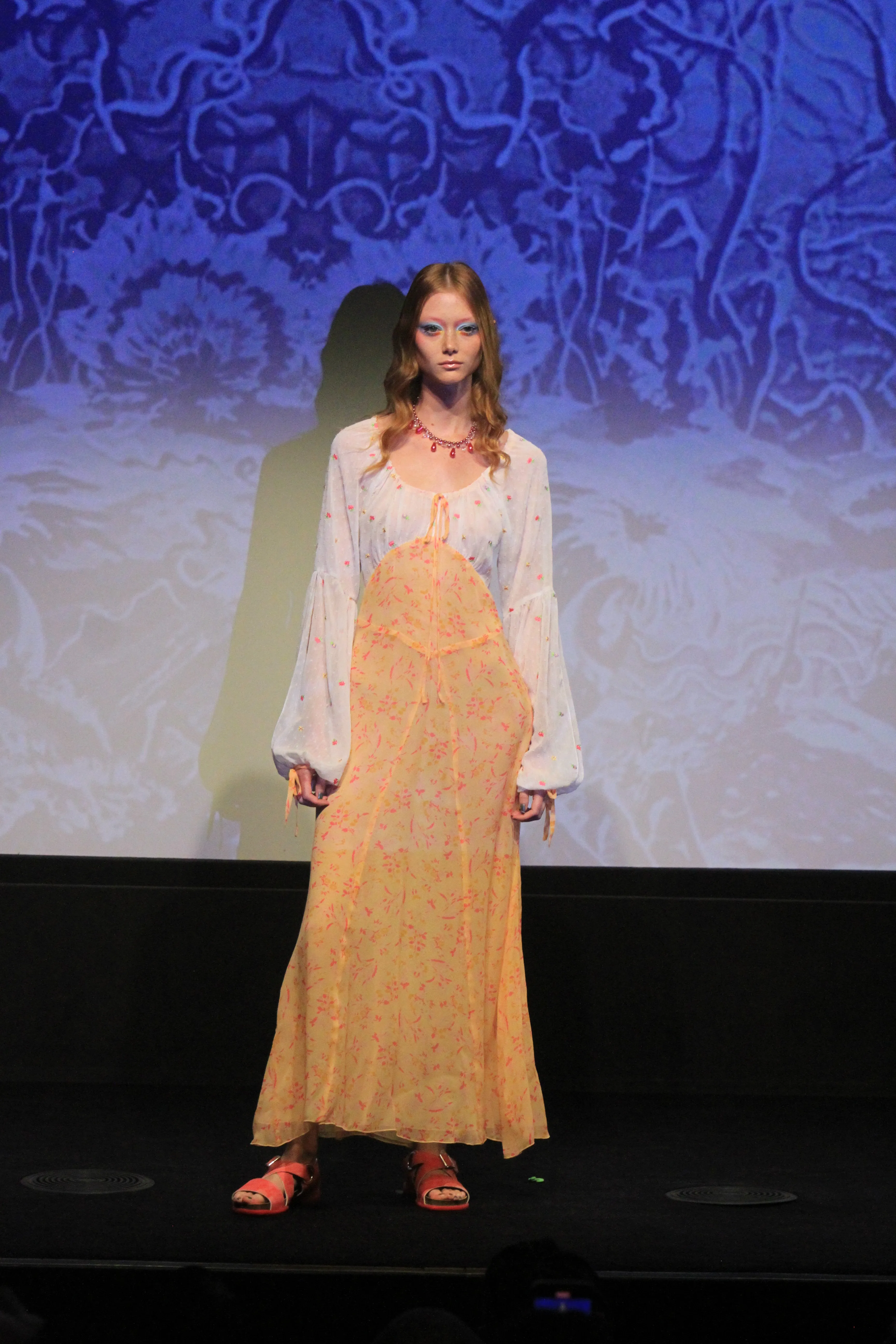 Floral Swiss Dot & Arcadia Blossom Princess Dress Annasui