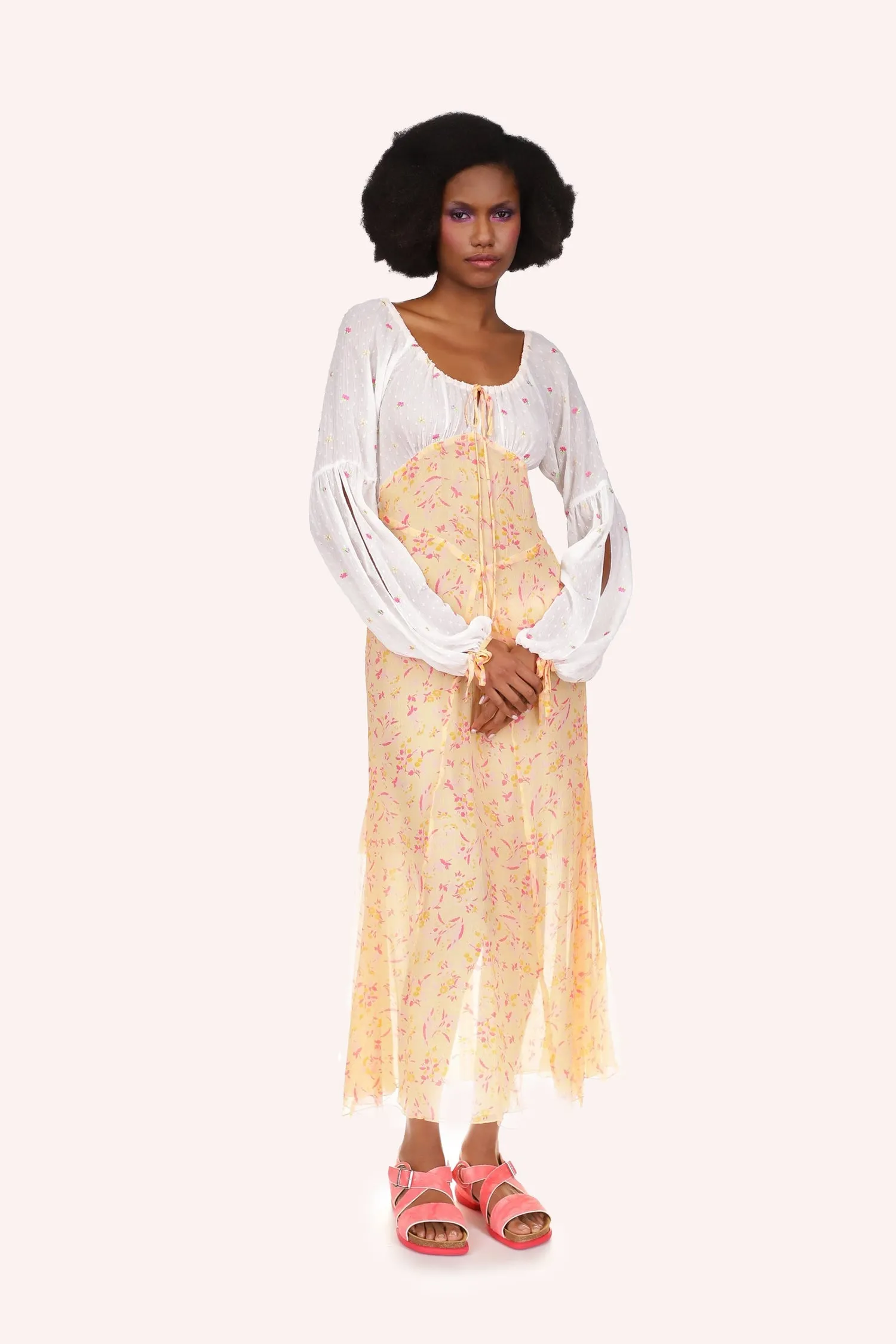 Floral Swiss Dot & Arcadia Blossom Princess Dress Annasui