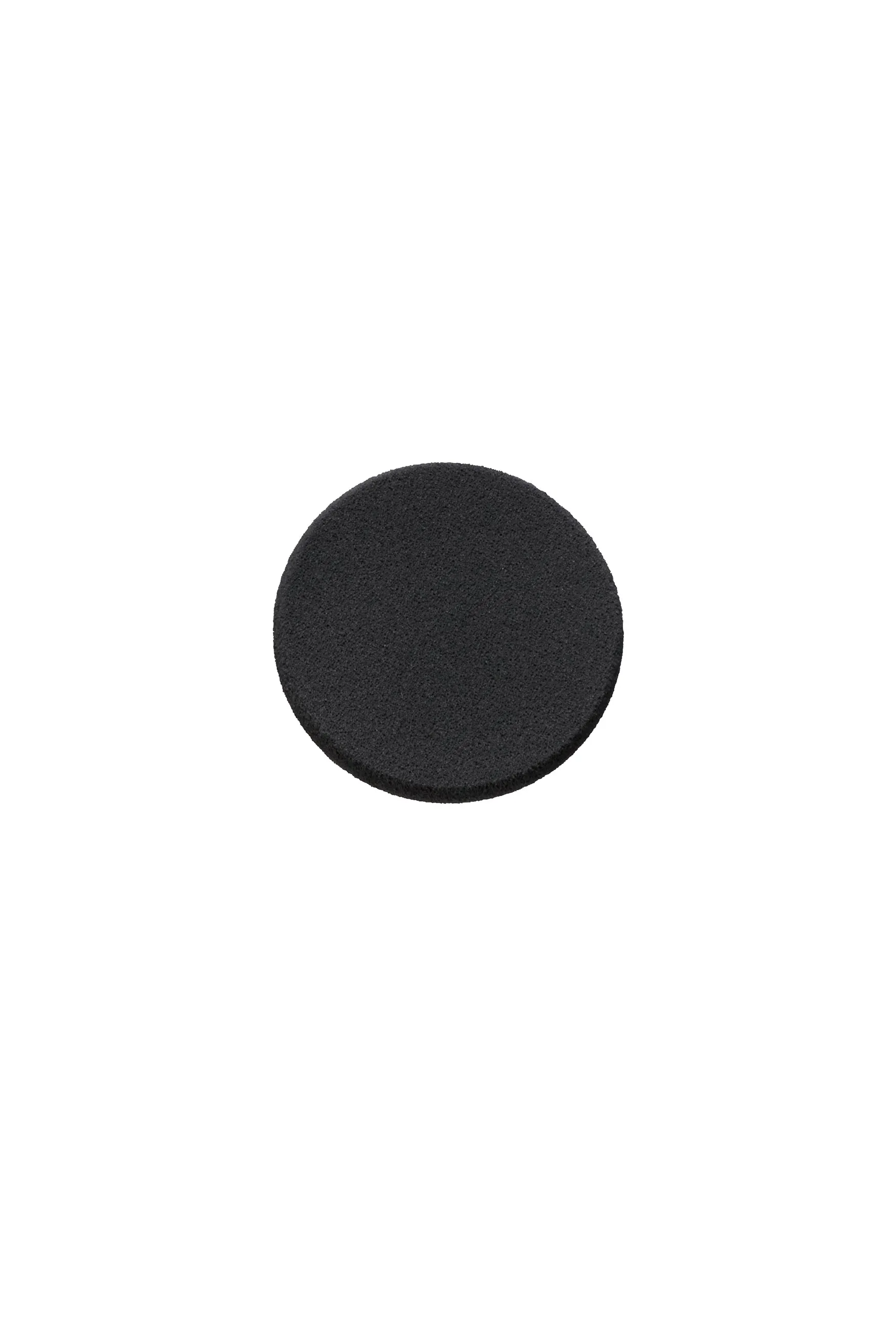 Illuminating Cushion Sponge Annasui