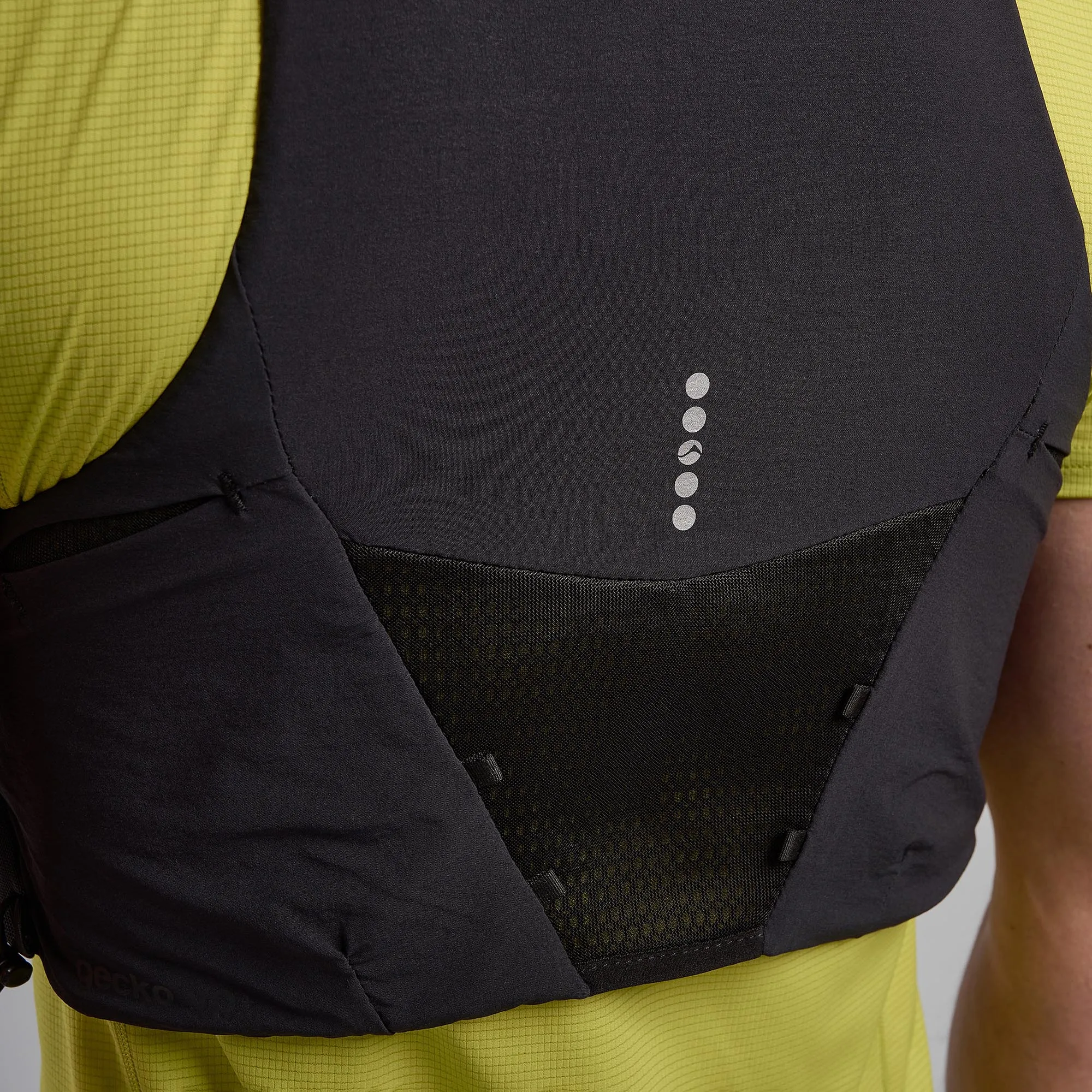 Montane Gecko VP   Montane
