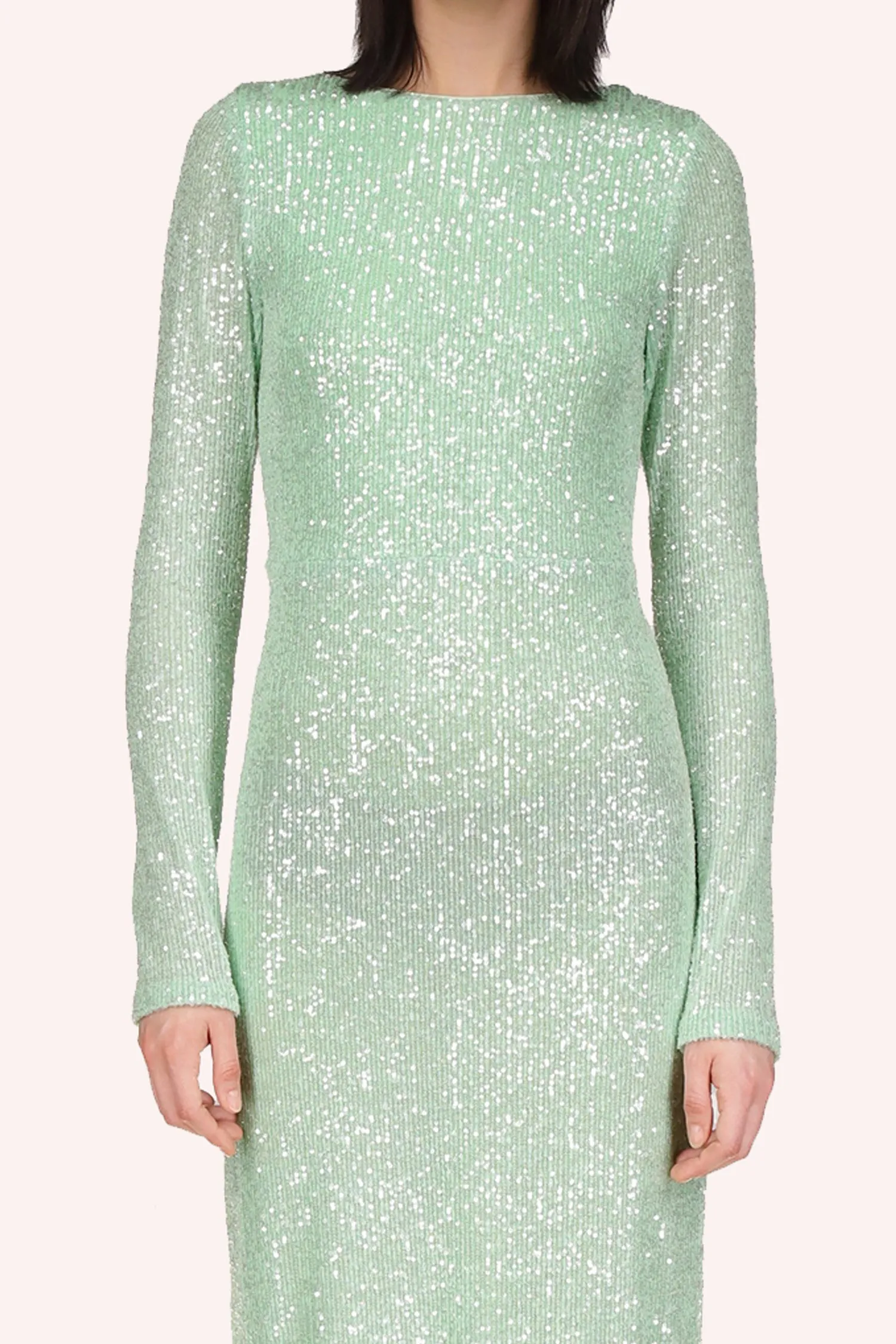 Sequin Mesh Dress Annasui