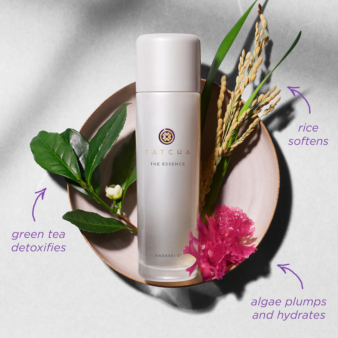 Tatcha The Essence Skincare Boosting Treatment 150ml NWOB