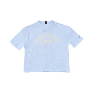 Tommy Hilfiger Kids Boy's Blue Cotton T-shirt