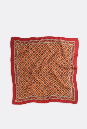 Vintage Scarf Frankie