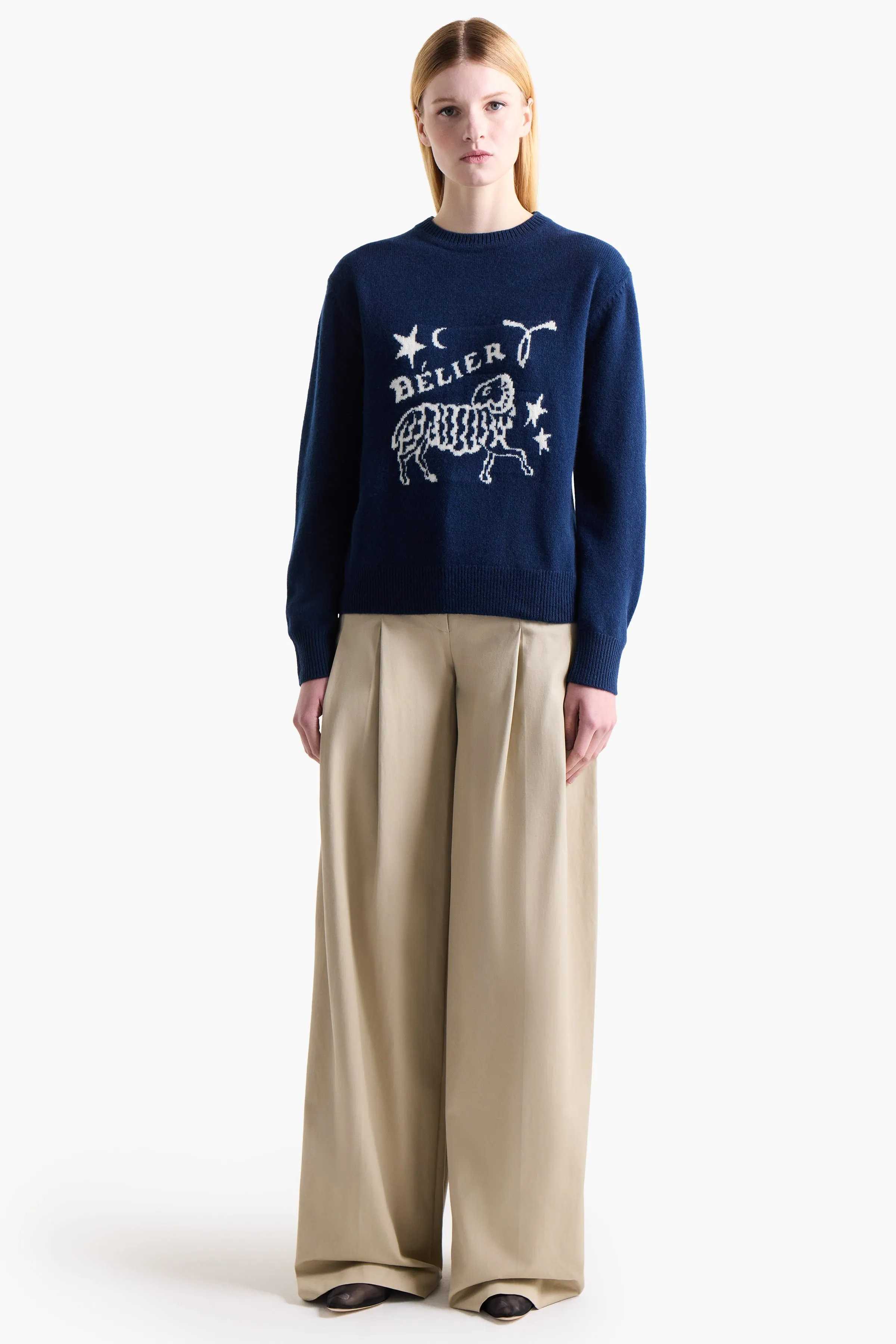 Zodiac Sweater Altuzarra
